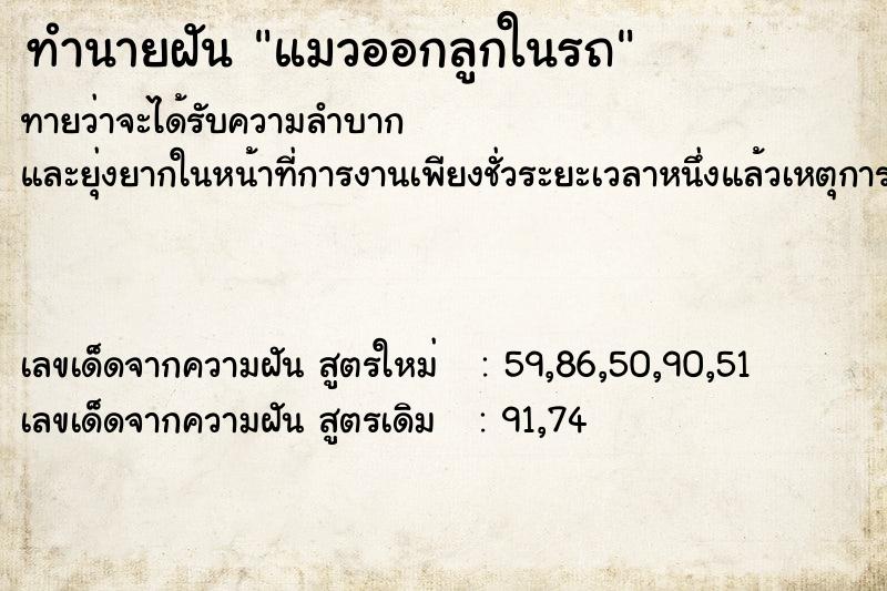 ทำนายฝัน แมวออกลูกในรถ ทำนายฝัน แมวออกลูกในรถ