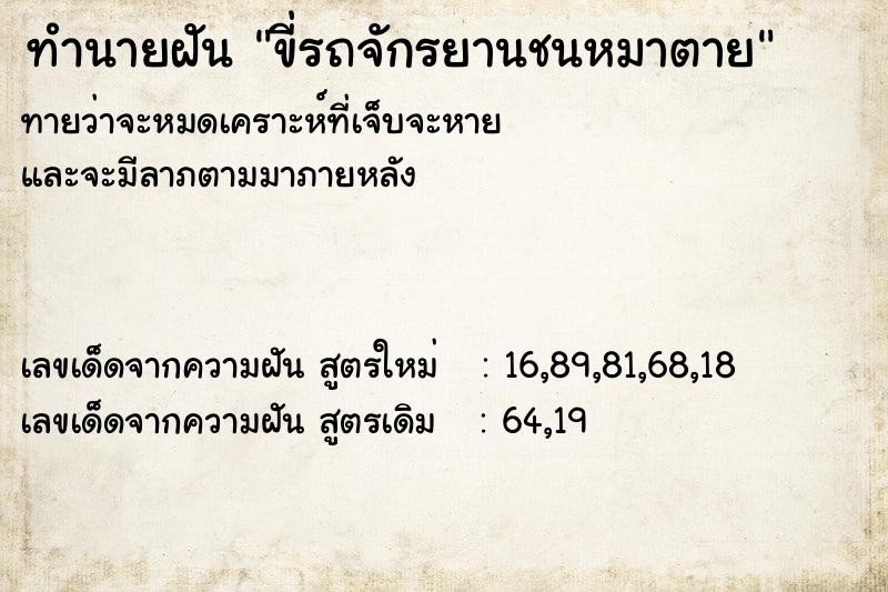 ทำนายฝันทำนายฝันขี่รถจักรยานชนหมาตาย