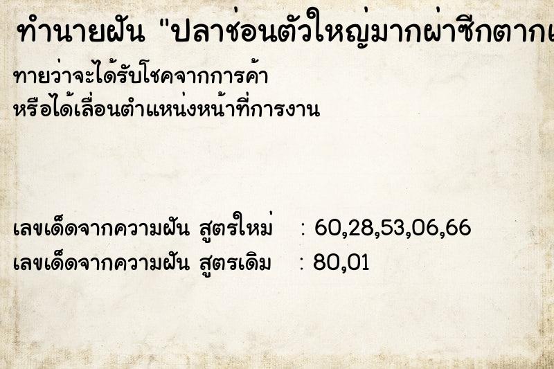 ทำนายฝันปลาช่อนตัวใหญ่มากผ่าซีกตากแดด ทำนายฝันทำนายฝันปลาช่อนตัวใหญ่มากผ่าซีกตากแดด