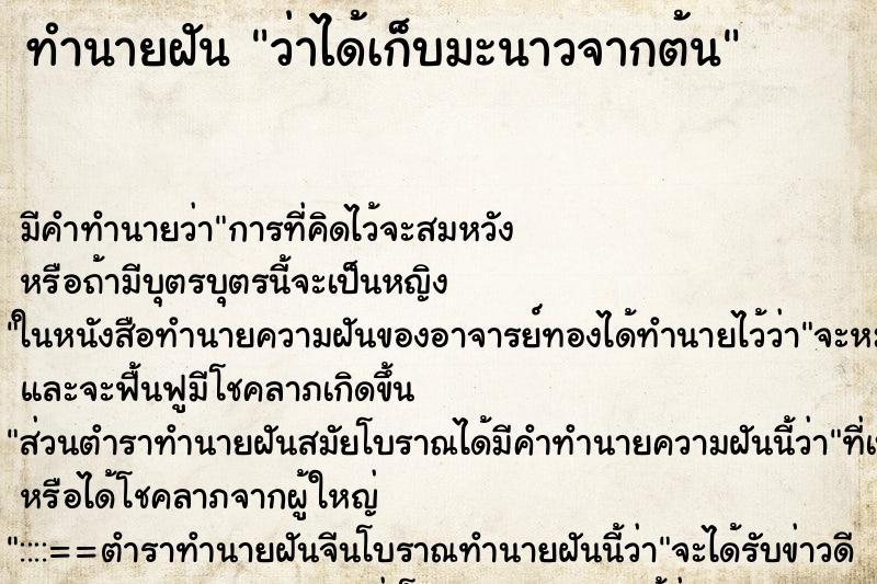 ทำนายฝัน ว่าได้เก็บมะนาวจากต้น ทำนายฝัน ว่าได้เก็บมะนาวจากต้น