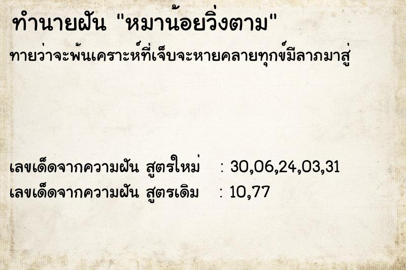 ทำนายฝันหมาน้อยวิ่งตาม ทำนายฝันทำนายฝันหมาน้อยวิ่งตาม