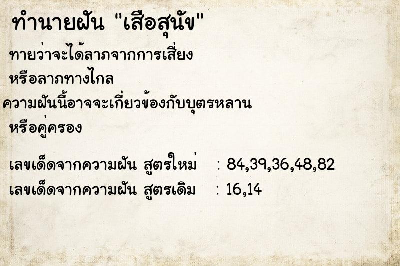 ทำนายฝันเสือสุนัข ทำนายฝันทำนายฝันเสือสุนัข
