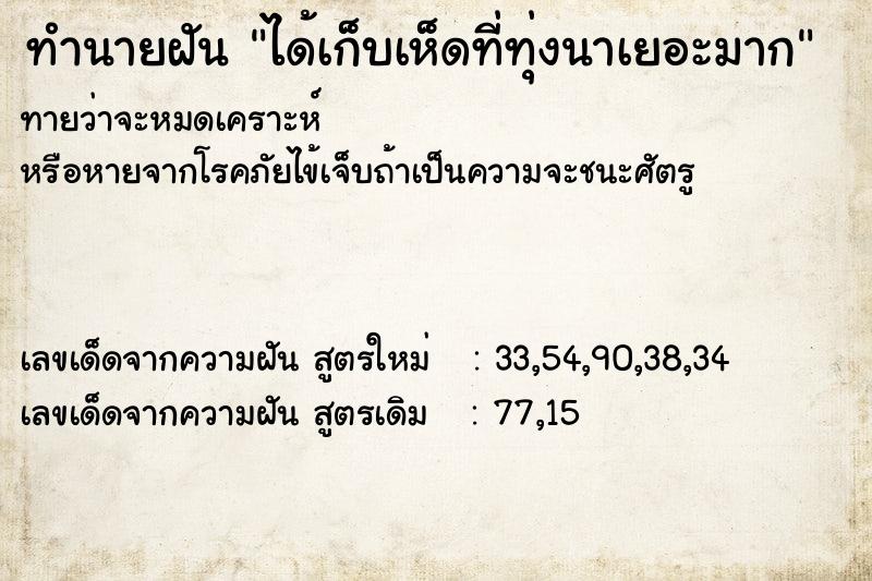 ทำนายฝันได้เก็บเห็ดที่ทุ่งนาเยอะมาก ทำนายฝันทำนายฝันได้เก็บเห็ดที่ทุ่งนาเยอะมาก