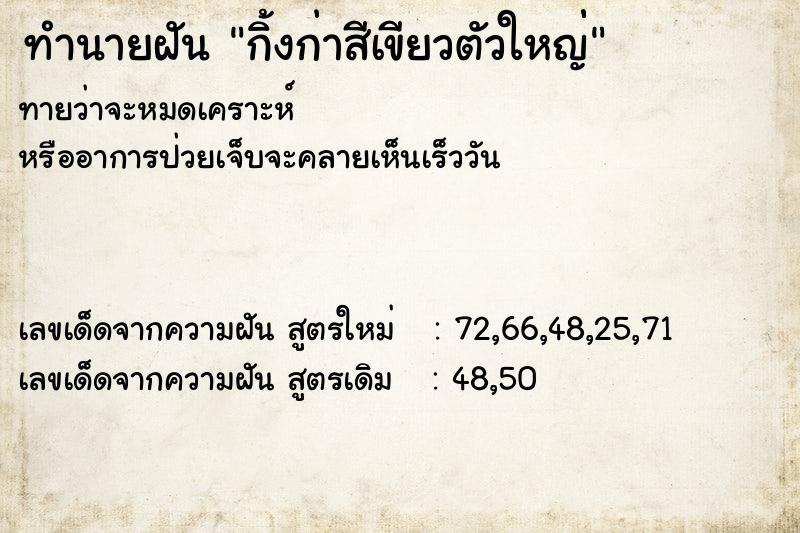 ทำนายฝัน กิ้งก่าสีเขียวตัวใหญ่่