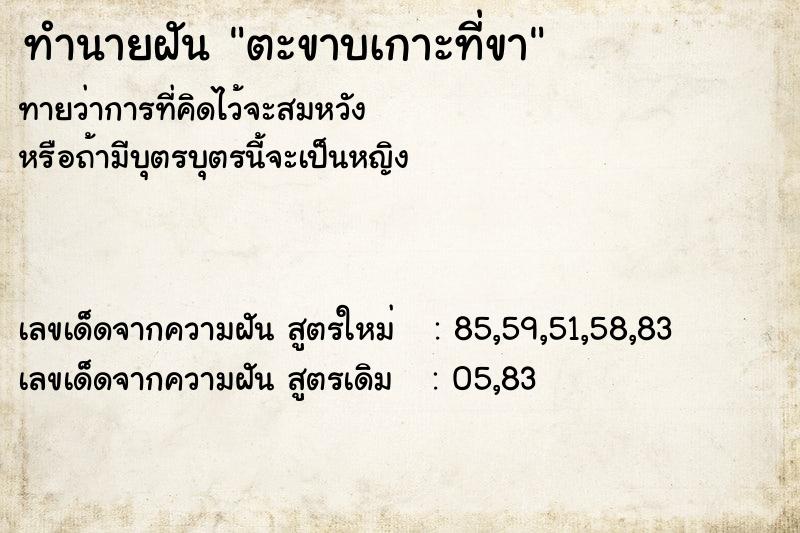 ทำนายฝัน ตะขาบเกาะที่ขา ทำนายฝัน ตะขาบเกาะที่ขา