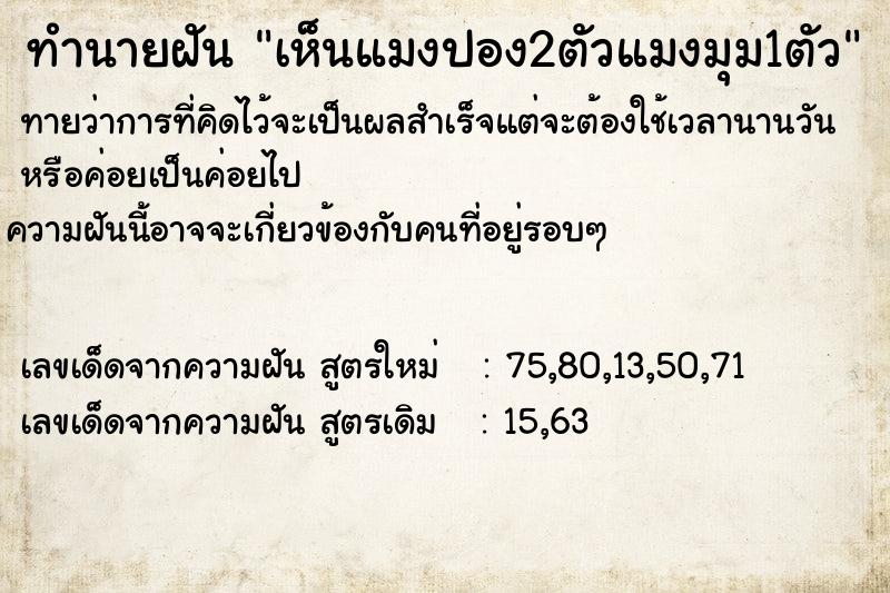 ทำนายฝันทำนายฝันเห็นแมงปอง2ตัวแมงมุม1ตัว
