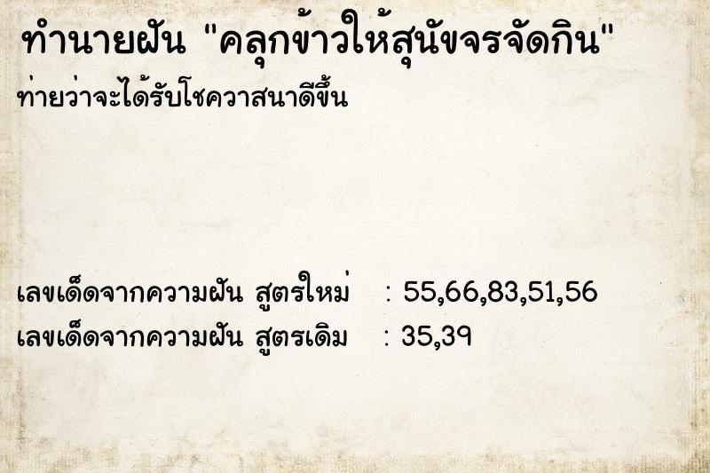 ทำนายฝันคลุกข้าวให้สุนัขจรจัดกิน ทำนายฝันทำนายฝันคลุกข้าวให้สุนัขจรจัดกิน