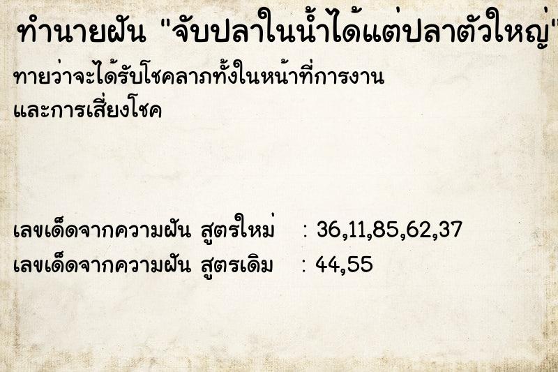 ทำนายฝัน จับปลาในน้ำได้แต่ปลาตัวใหญ่ ทำนายฝัน จับปลาในน้ำได้แต่ปลาตัวใหญ่