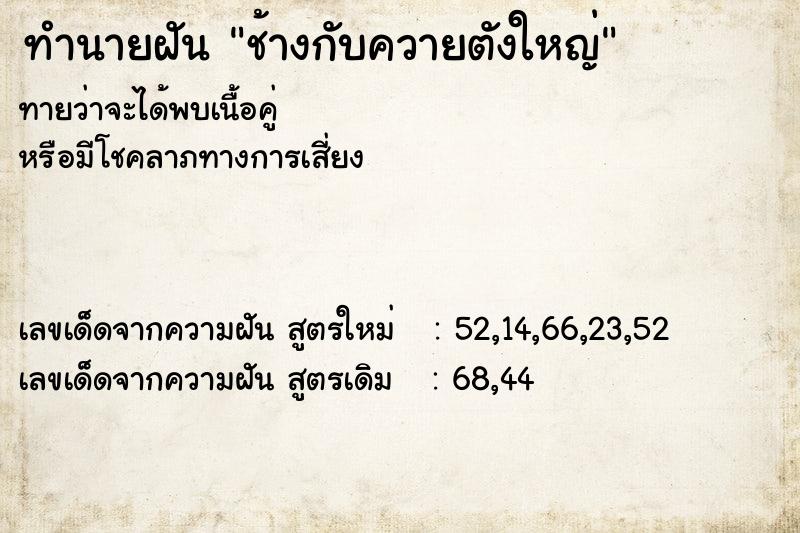ทำนายฝันช้างกับควายตังใหญ่ ทำนายฝันทำนายฝันช้างกับควายตังใหญ่