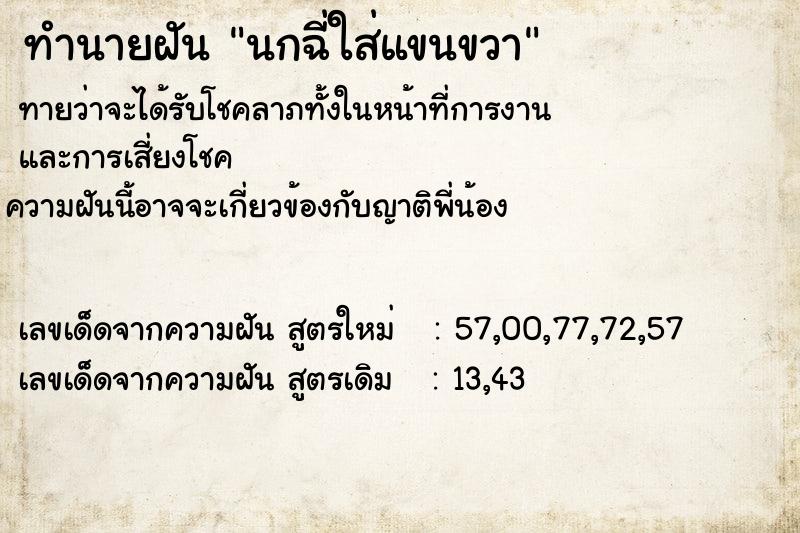 ทำนายฝันนกฉี่ใส่แขนขวา ทำนายฝันทำนายฝันนกฉี่ใส่แขนขวา