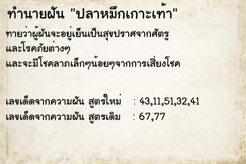 ทำนายฝันปลาหมึกเกาะเท้า ทำนายฝันทำนายฝันปลาหมึกเกาะเท้า