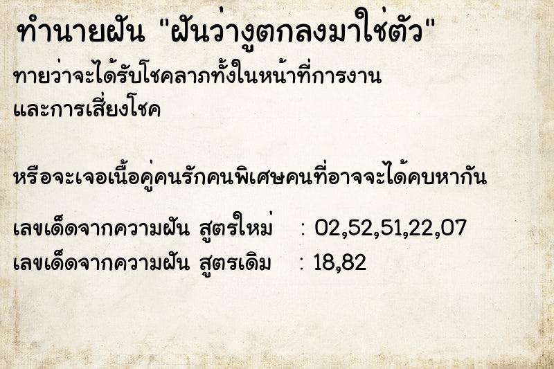 ทำนายฝัน ฝันว่่างูตกลงมาใช่ตัว ทำนายฝัน ฝันว่่างูตกลงมาใช่ตัว