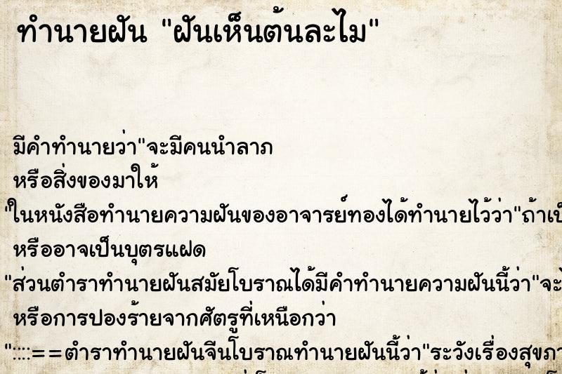 ทำนายฝันฝันเห็นต้นละไม ทำนายฝันทำนายฝันฝันเห็นต้นละไม