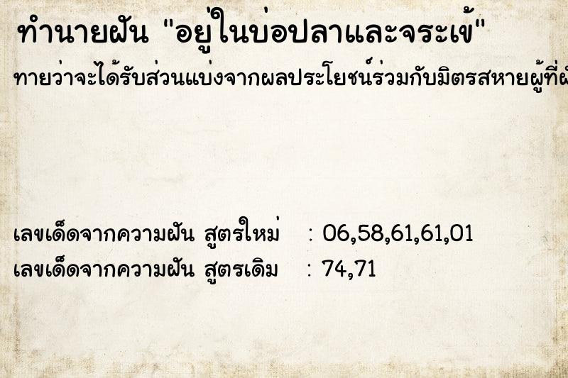 ทำนายฝันอยู่ในบ่อปลาและจระเข้ ทำนายฝันทำนายฝันอยู่ในบ่อปลาและจระเข้
