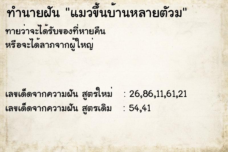 ทำนายฝันทำนายฝันแมวขึ้นบ้านหลายตัวม