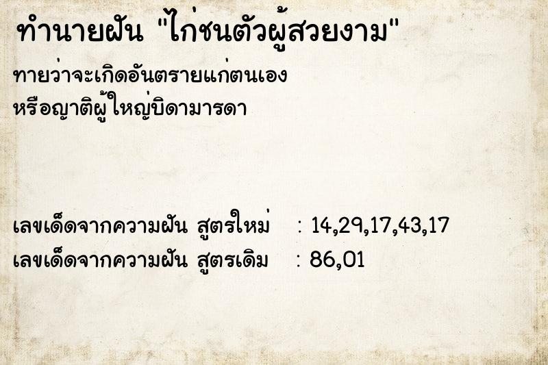 ทำนายฝัน ไก่ชนตัวผู้สวยงาม ทำนายฝัน ไก่ชนตัวผู้สวยงาม