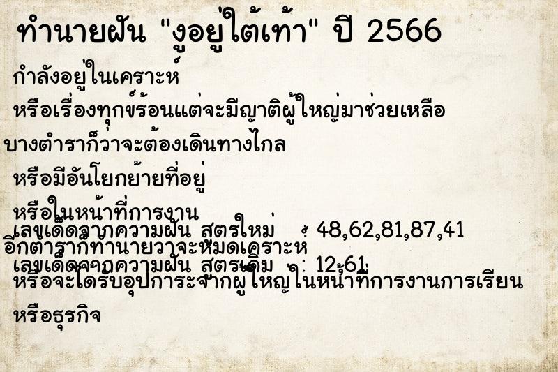 ทำนายฝัน งูอยู่ใต้เท้า ตำราโบราณ แม่นที่สุดในโลก