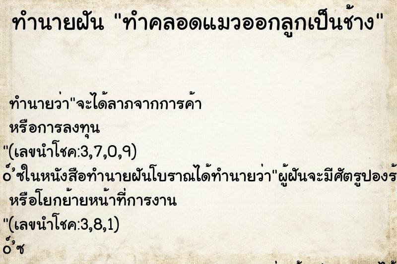 ทำนายฝัน ทำคลอดแมวออกลูกเป็นช้าง