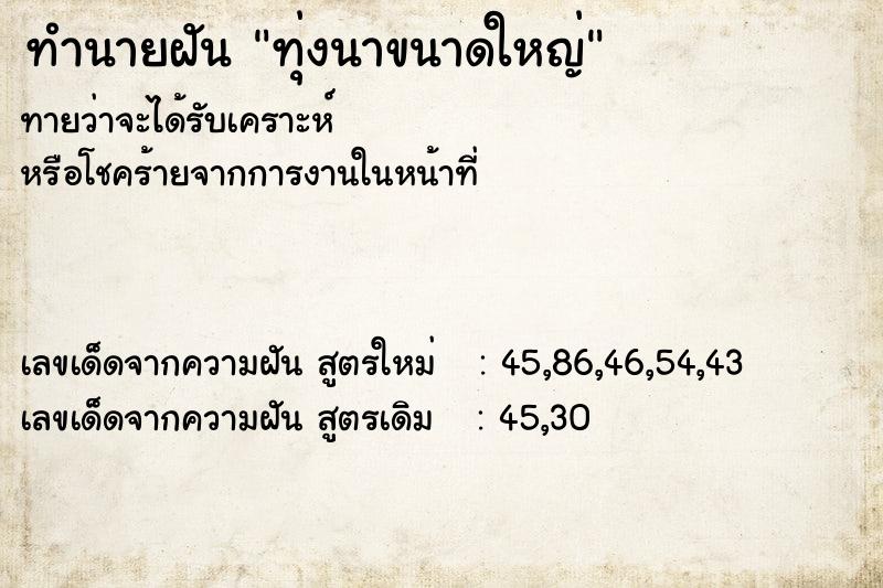 ทำนายฝันทุ่งนาขนาดใหญ่ ทำนายฝันทำนายฝันทุ่งนาขนาดใหญ่