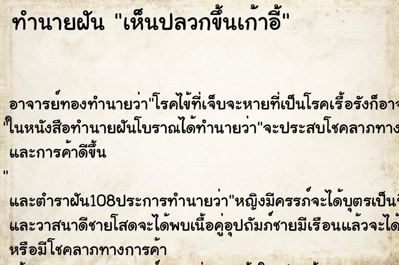 ทำนายฝันทำนายฝันเห็นปลวกขึ้นเก้าอี้