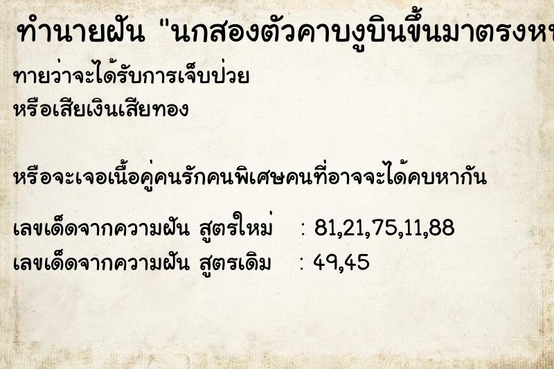 ทำนายฝันทำนายฝันนกสองตัวคาบงูบินขึ้นมาตรงหน้าต่างบ้าน