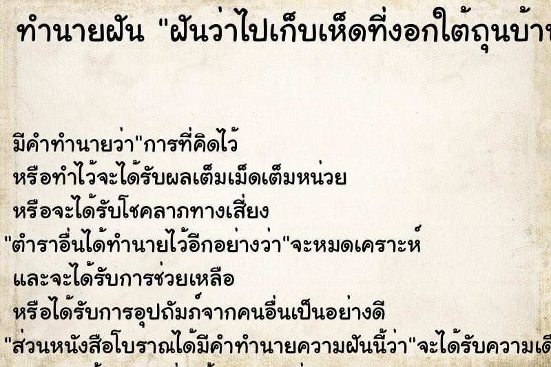 ทำนายฝันฝันว่าไปเก็บเห็ดที่งอกใต้ถุนบ้านกันหลายคน ทำนายฝันทำนายฝันฝันว่าไปเก็บเห็ดที่งอกใต้ถุนบ้านกันหลายคน
