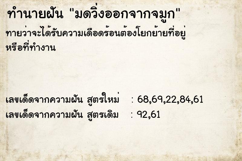 ทำนายฝันทำนายฝันมดวิ่งออกจากจมูก