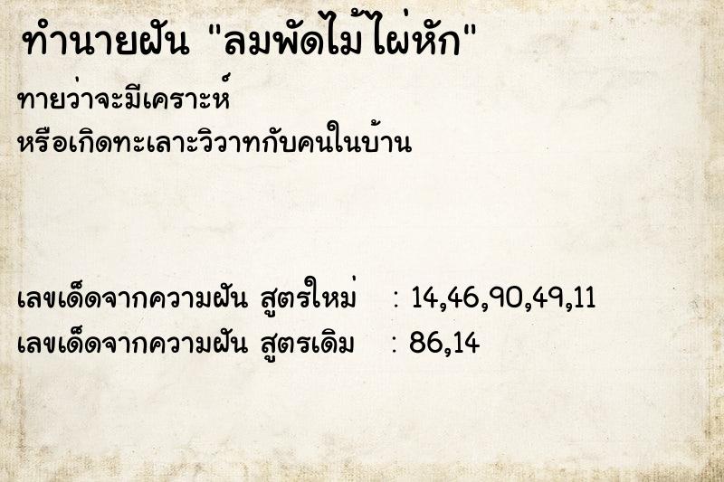 ทำนายฝัน ลมพัดไม้ไผ่หัก ทำนายฝัน ลมพัดไม้ไผ่หัก