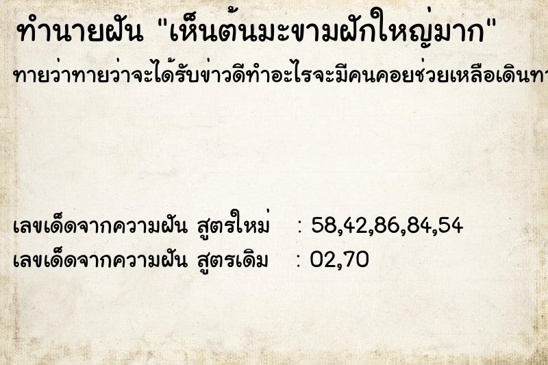 ทำนายฝันเห็นต้นมะขามฝักใหญ่มาก ทำนายฝันทำนายฝันเห็นต้นมะขามฝักใหญ่มาก