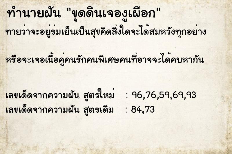 ทำนายฝันขุดดินเจองูเผือก ทำนายฝันทำนายฝันขุดดินเจองูเผือก