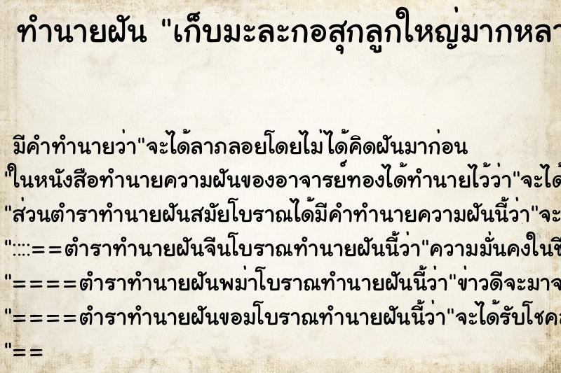 ทำนายฝันทำนายฝันเก็บมะละกอสุกลูกใหญ่มากหลายลูก