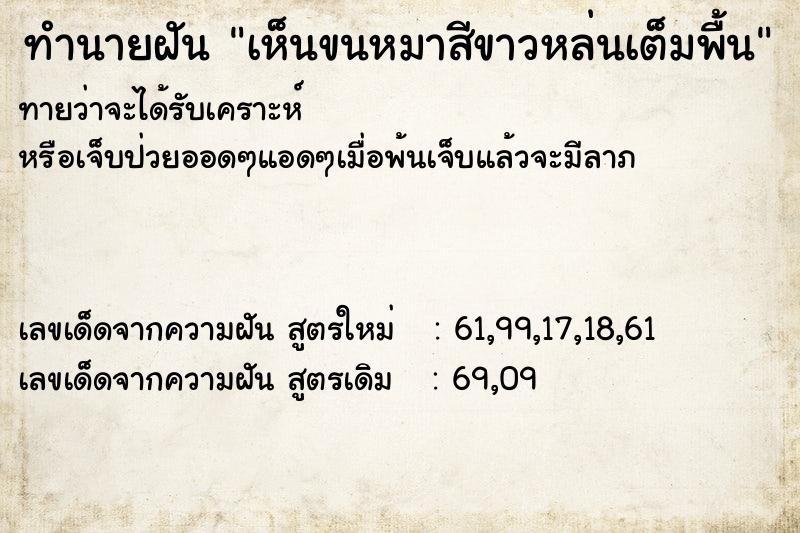 ทำนายฝันเห็นขนหมาสีขาวหล่นเต็มพื้น ทำนายฝันทำนายฝันเห็นขนหมาสีขาวหล่นเต็มพื้น