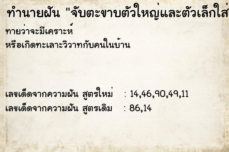 ทำนายฝันจับตะขาบตัวใหญ่และตัวเล็กใส่ขวด ทำนายฝันทำนายฝันจับตะขาบตัวใหญ่และตัวเล็กใส่ขวด