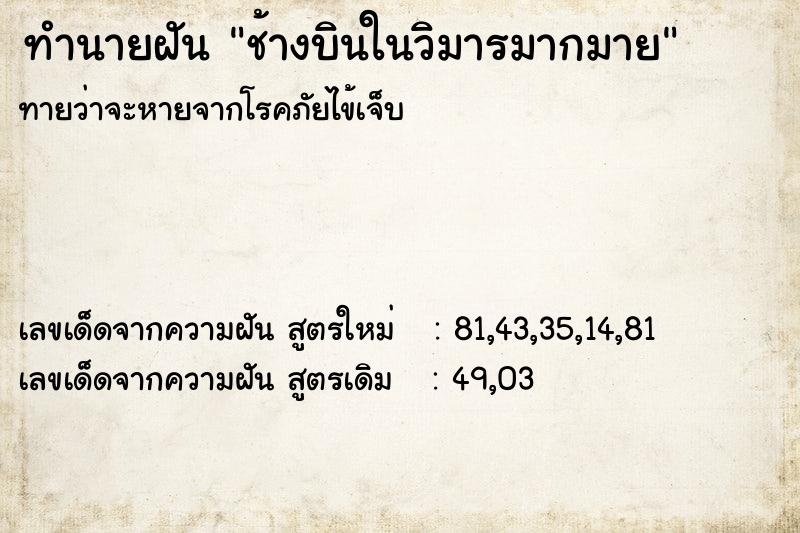 ทำนายฝัน ช้างบินในวิมารมากมาย