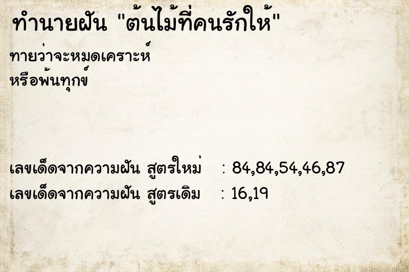 ทำนายฝันต้นไม้ที่คนรักให้ ทำนายฝันทำนายฝันต้นไม้ที่คนรักให้