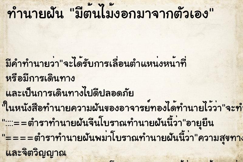 ทำนายฝัน มีต้นไม้งอกมาจากตัวเอง ทำนายฝัน มีต้นไม้งอกมาจากตัวเอง