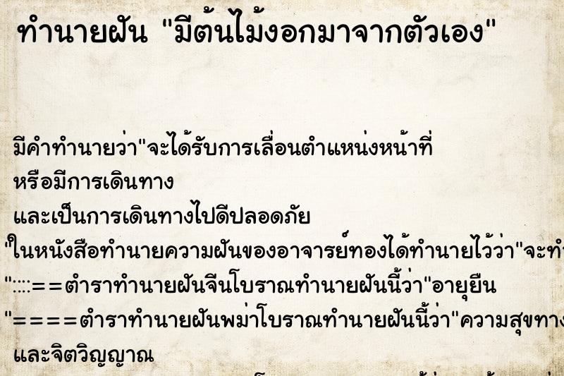 ทำนายฝัน มีต้นไม้งอกมาจากตัวเอง ตำราโบราณ แม่นที่สุดในโลก