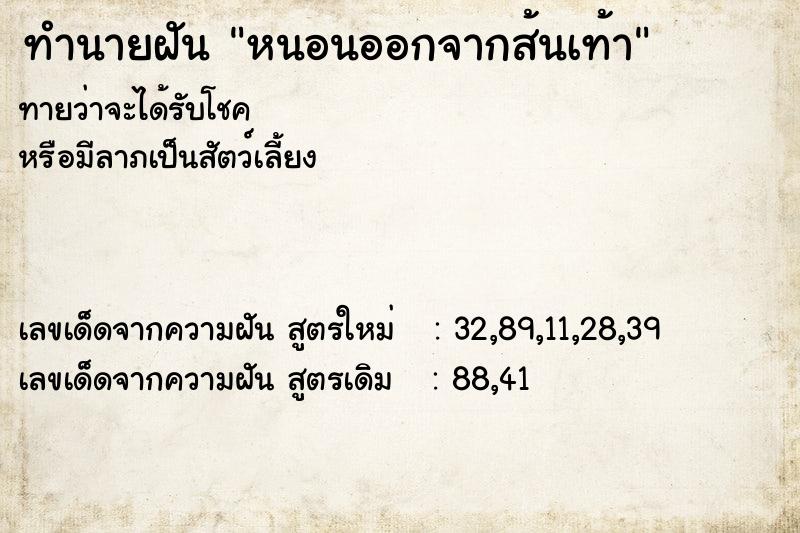 ทำนายฝัน หนอนออกจากส้นเท้า