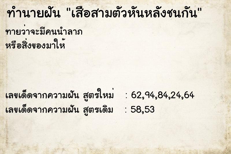 ทำนายฝันทำนายฝันเสือสามตัวหันหลังชนกัน
