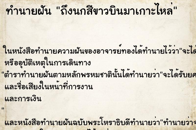 ทำนายฝัน ถึงนกสีขาวบินมาเกาะไหล่ ทำนายฝัน ถึงนกสีขาวบินมาเกาะไหล่