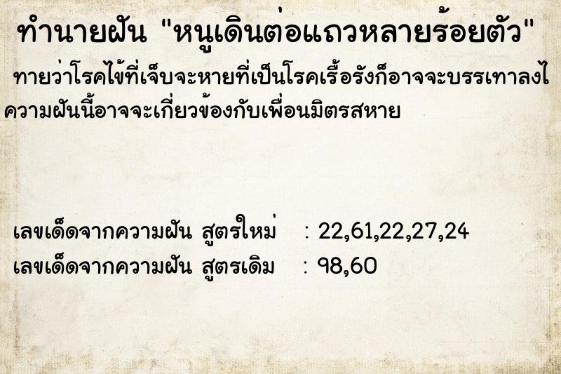 ทำนายฝันทำนายฝันหนูเดินต่อแถวหลายร้อยตัว