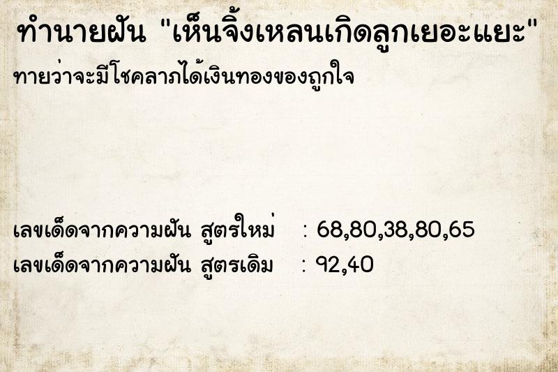 ทำนายฝันทำนายฝันเห็นจิ้งเหลนเกิดลูกเยอะแยะ