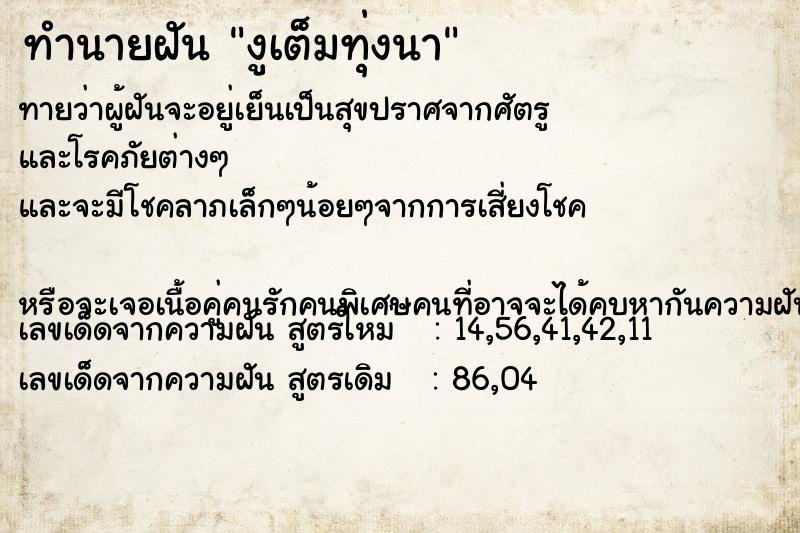 ทำนายฝันทำนายฝันงูเต็มทุ่งนา