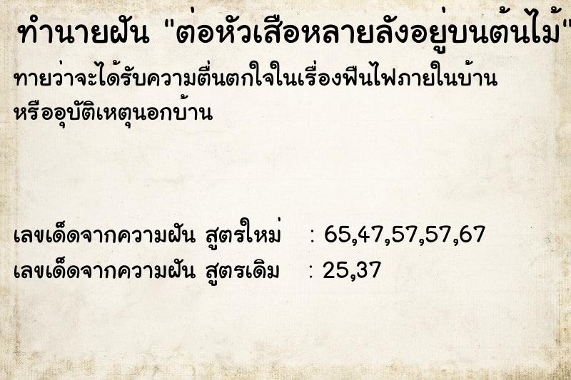ทำนายฝันต่อหัวเสือหลายลังอยู่บนต้นไม้ ทำนายฝันทำนายฝันต่อหัวเสือหลายลังอยู่บนต้นไม้