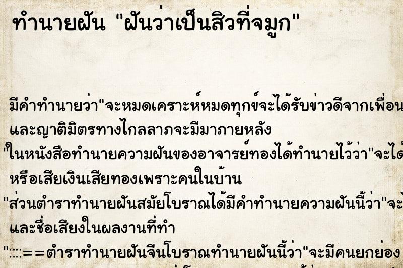 ทำนายฝัน ฝันว่าเป็นสิวที่จมูก ทำนายฝัน ฝันว่าเป็นสิวที่จมูก