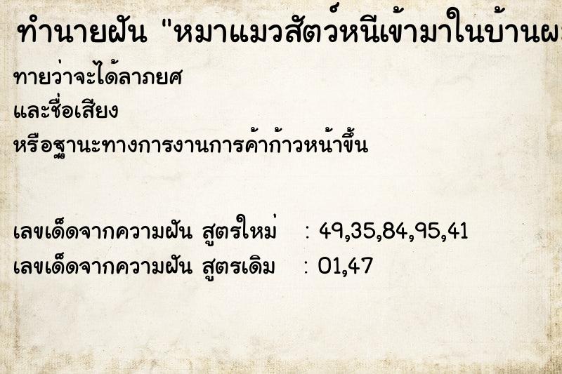 ทำนายฝันหมาแมวสัตว์หนีเข้ามาในบ้านผมเป็นฝูง ทำนายฝันทำนายฝันหมาแมวสัตว์หนีเข้ามาในบ้านผมเป็นฝูง