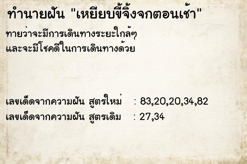ทำนายฝัน เหยียบขี้จิ้งจกตอนเช้า ทำนายฝัน เหยียบขี้จิ้งจกตอนเช้า