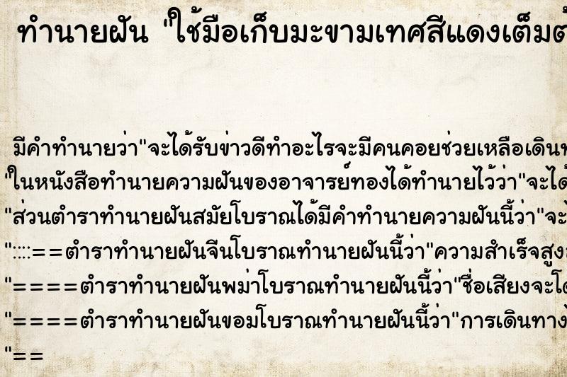 ทำนายฝันทำนายฝันใช้มือเก็บมะขามเทศสีแดงเต็มต้น