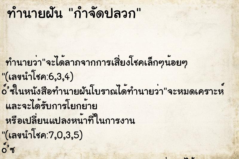 ทำนายฝัน กำจัดปลวก ตำราโบราณ แม่นที่สุดในโลก