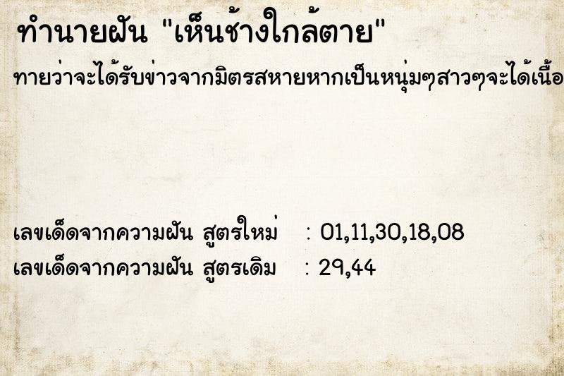ทำนายฝันเห็นช้างใกล้ตาย ทำนายฝันทำนายฝันเห็นช้างใกล้ตาย
